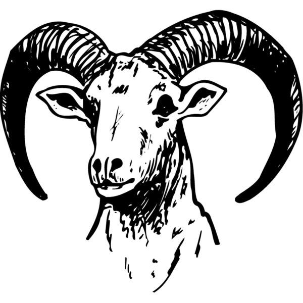 RAM012 Thumbnail